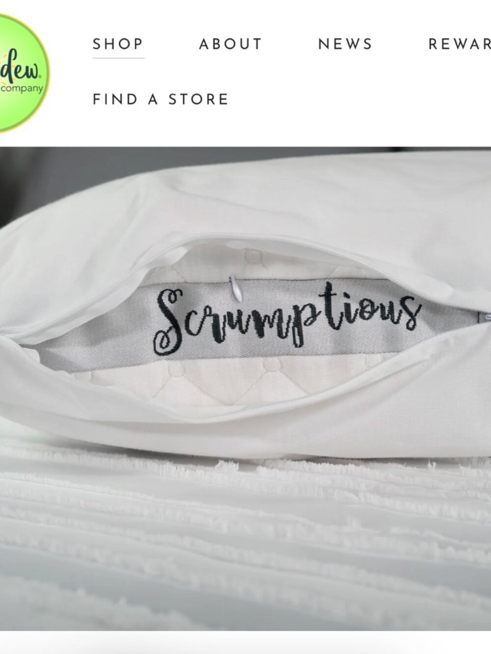 NWT Honeydew Sleep Pristine Pillow Protector - Queen Side Sleeper - White